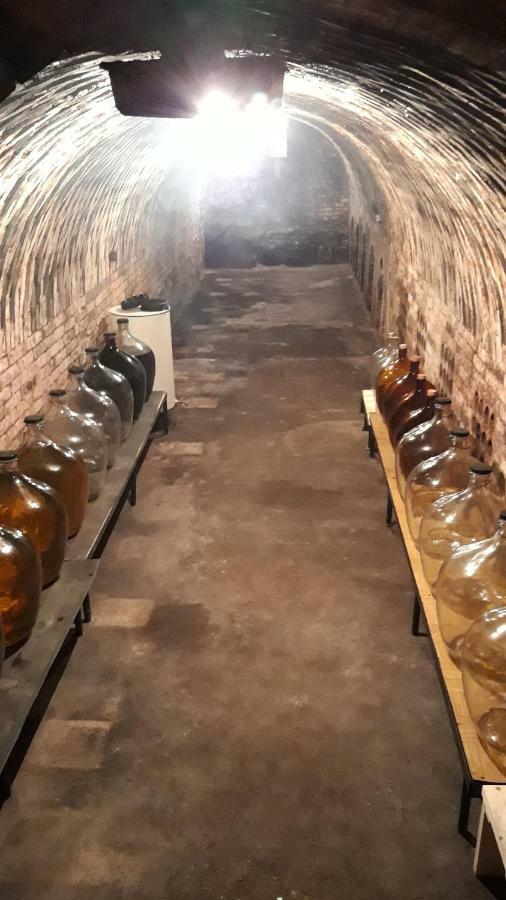 Penzion Na Vyhlidce Cejkovice  Buitenkant foto